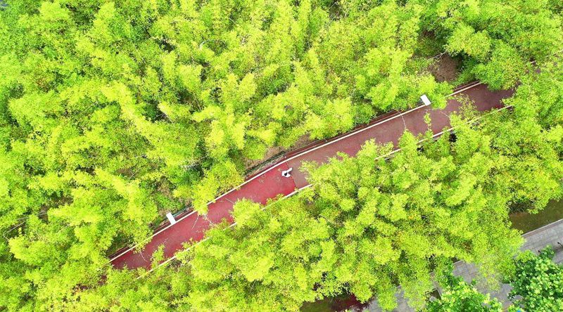 “云”跑贵马 相约观山湖绿道间