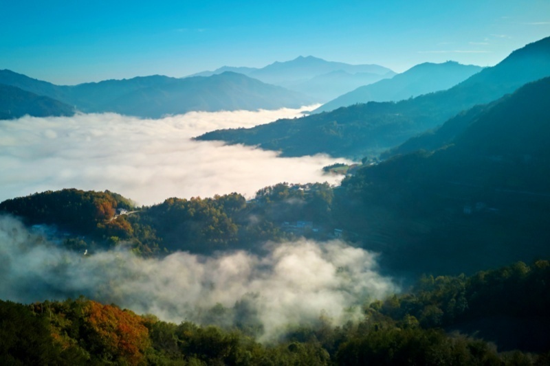 禀赋天成的“天然氧吧” 生态宜居的熊猫家园，平武县美进心里的康养圣地