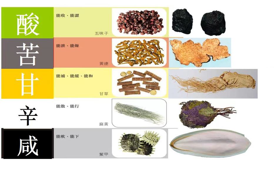 四气五味：入腹知性效自明